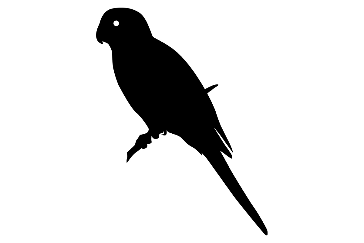 Monk Parakeet Bird Silhouette Illustration par iDrawSilhouettes ...