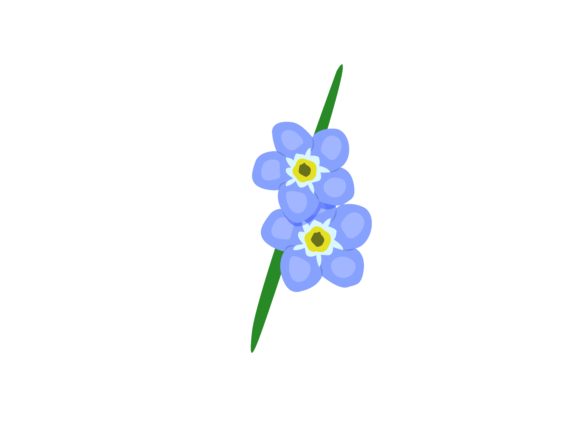 Forget Me Not Flower Illustration Graphic by vianaraart1 · Creative Fabrica