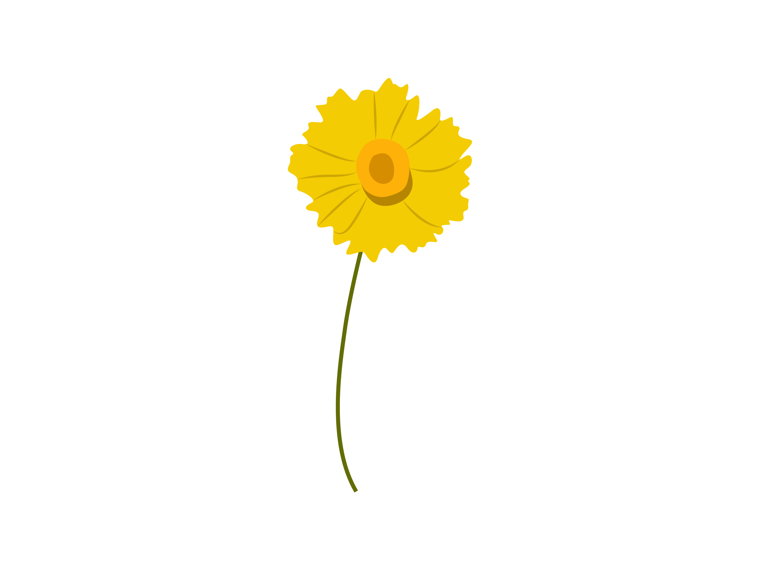 Tickseed Flower Graphic by archshape · Creative Fabrica