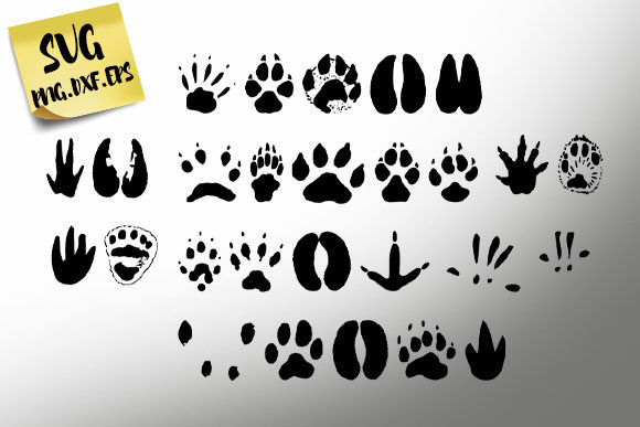 Download 27 Animal Tracks Graphic By Novart Creative Fabrica