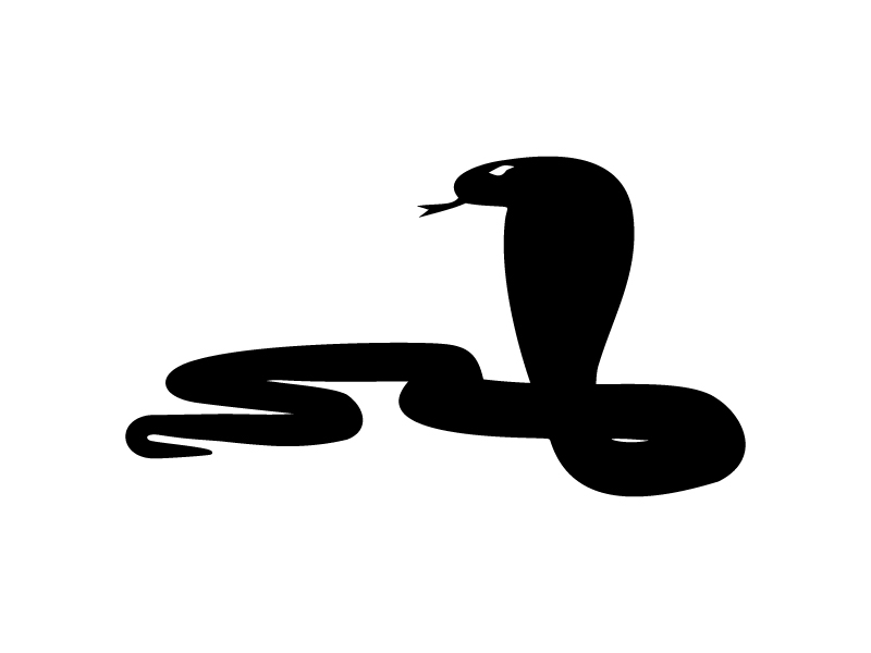 Snake on White Background,vector Graphic by ekimova_lisa · Creative Fabrica