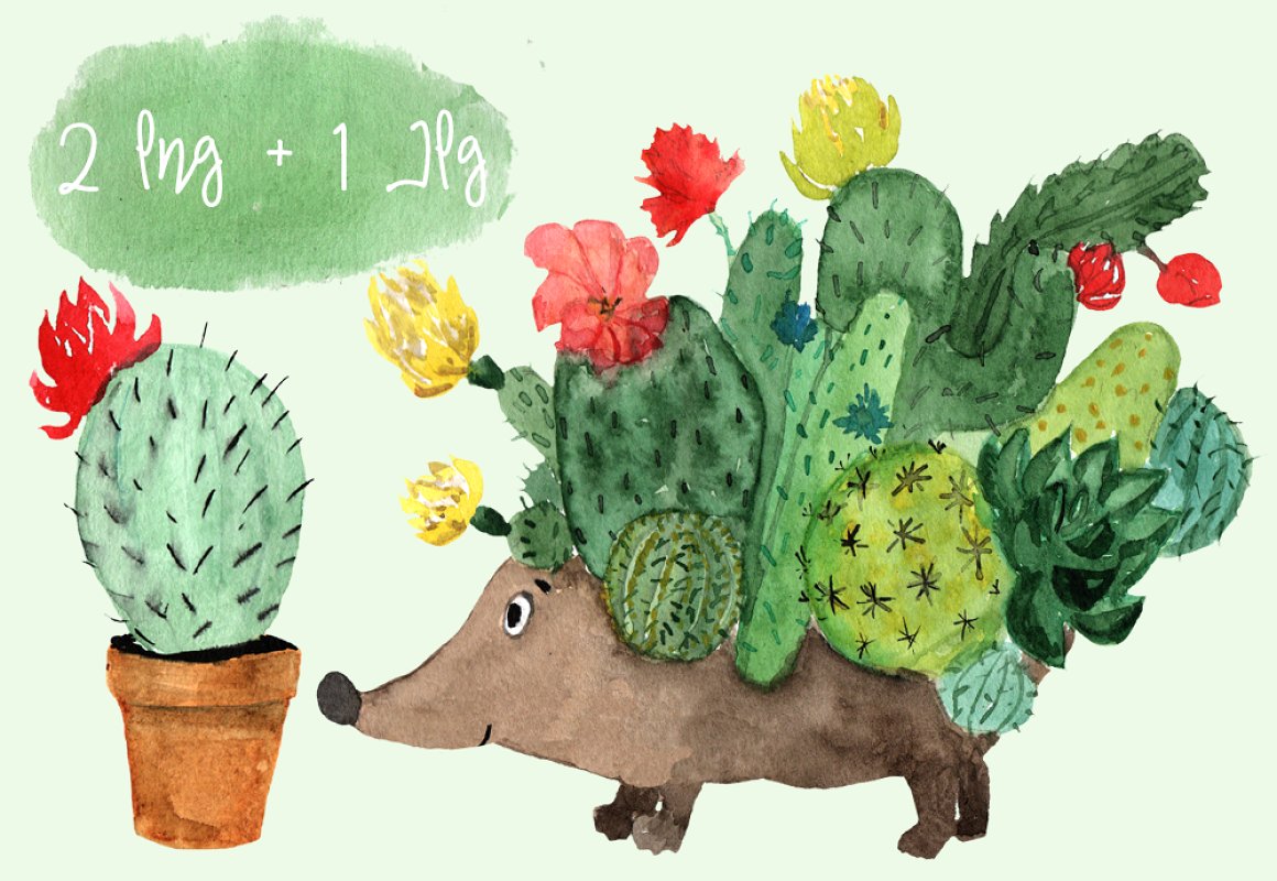 Download Watercolor Cactus Hedgehog Png Jpg Graphic By Tatibordiu Creative Fabrica