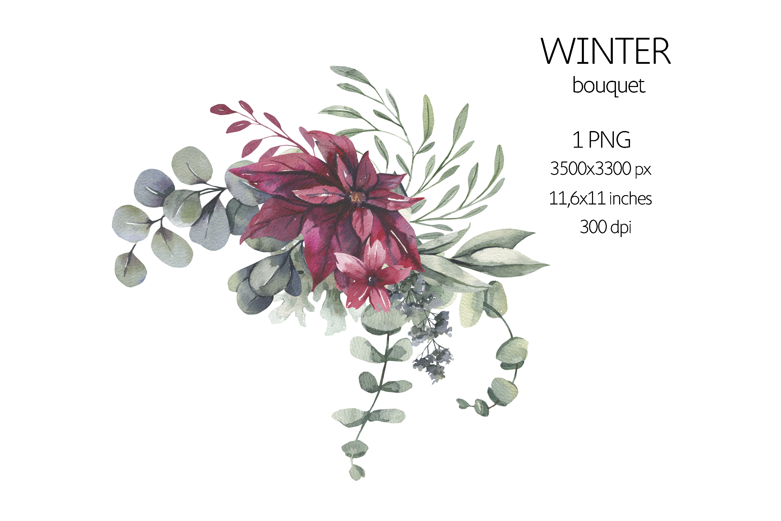 Watercolor Frame Christmas floral, Winter clipart, White Flowers