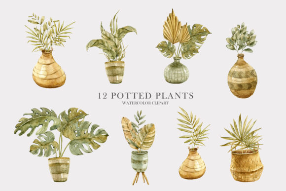 Watercolor Potted Boho Dried Plants Graphic by Tiana Geo