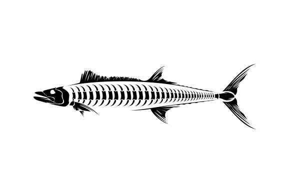 King Mackerel Fish Skeleton Graphic by therintproject · Creative Fabrica