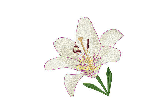 White Tiger Lily · Creative Fabrica