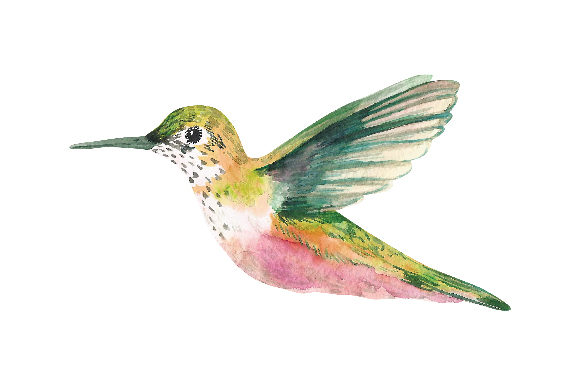 Download Watercolor Hummingbird Svg Cut File By Creative Fabrica Crafts Creative Fabrica