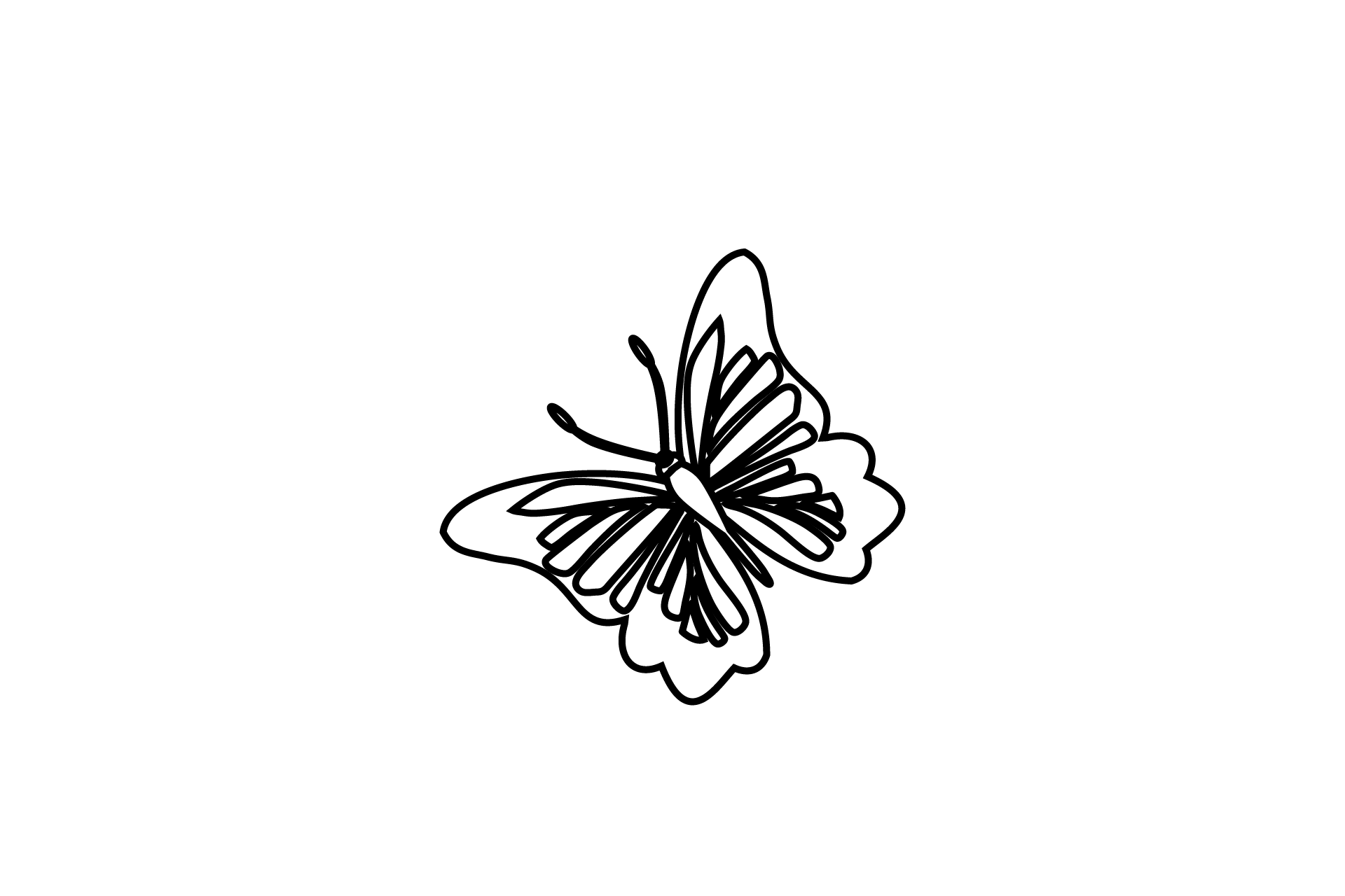 Butterfly Fly Wings Outline Graphic by lionalstudio · Creative Fabrica