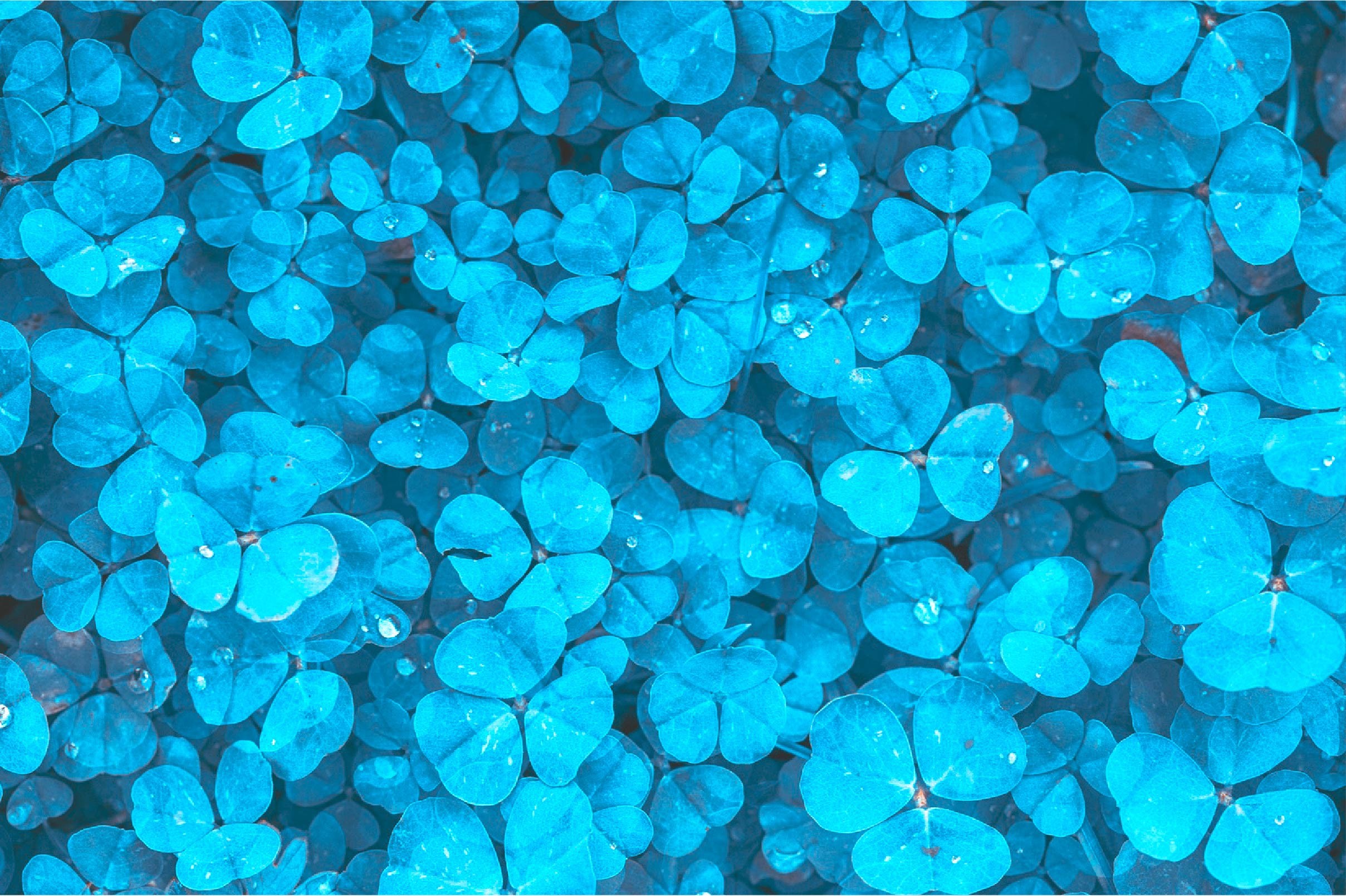 Bluecyan Leaves Background HD Wallpaper Gráfico por ItalianvintagDesigns ·  Creative Fabrica