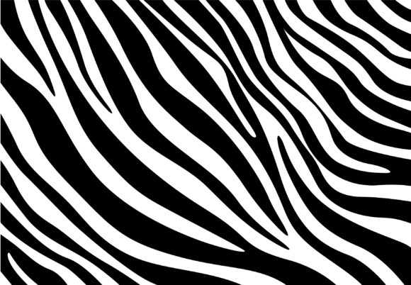 Zebra Zebra Spots, Zebra Print Graphic by Rujstock · Creative Fabrica