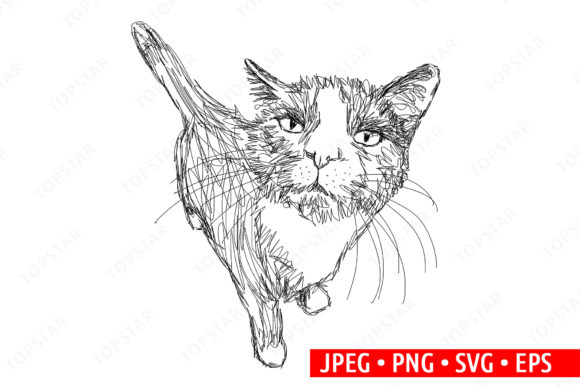 an angry cat illustration. a hand drawn illustration of a wild