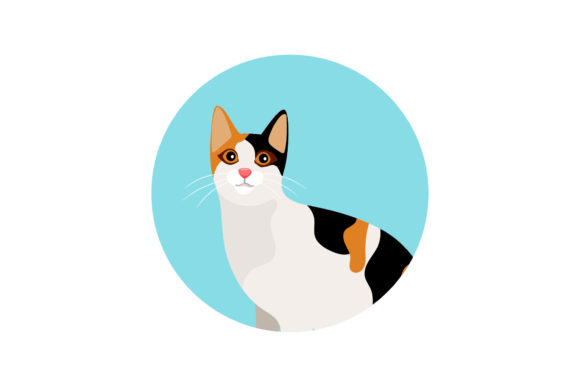Cat Icon Gráfico por SIKEY STUDIO · Creative Fabrica