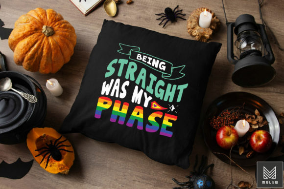 Being Straight Was The Phase T Shirt