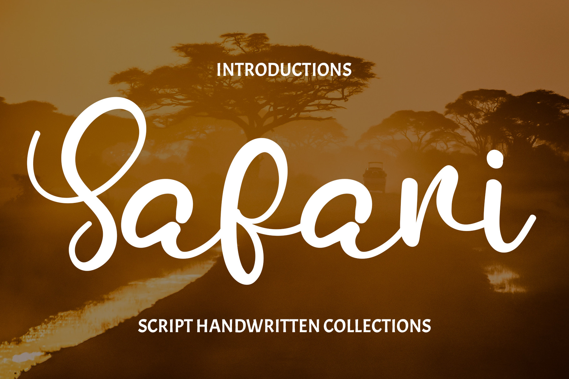 safari bold font