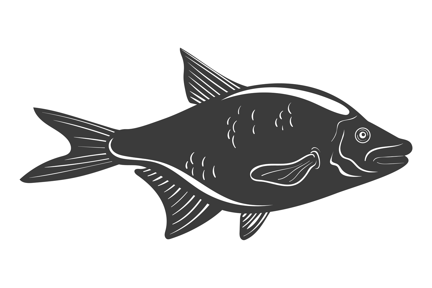 Bream Icon. Freshwater Fish Symbol. Blac Graphic by smartstartstocker ...