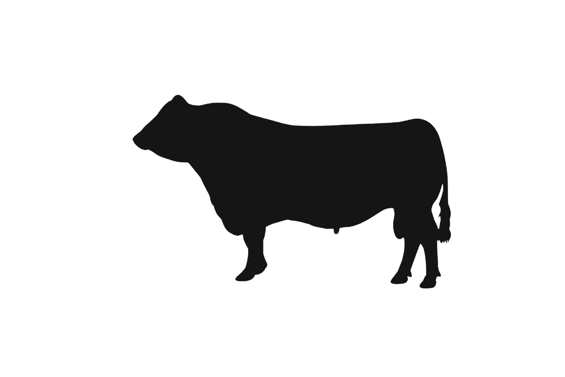 bull silhouette