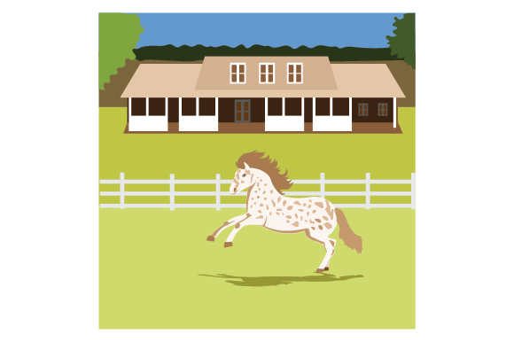 Appaloosa Horse Digital Download Print | Horse Photography | Horse Lover  Gift Ideas | Western Home Decor