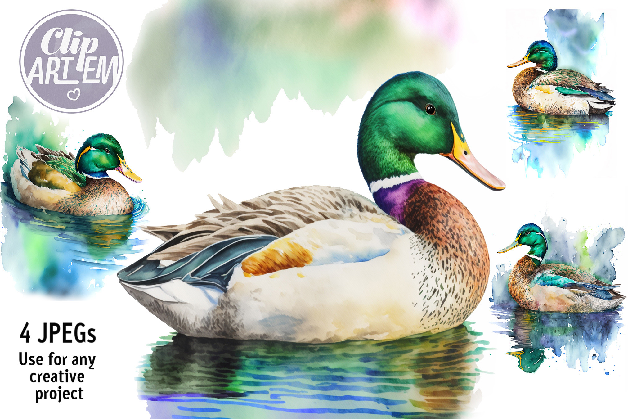 Personalized Watercolor Duck Set of 3 Wall Art Prints Duck -  in 2023
