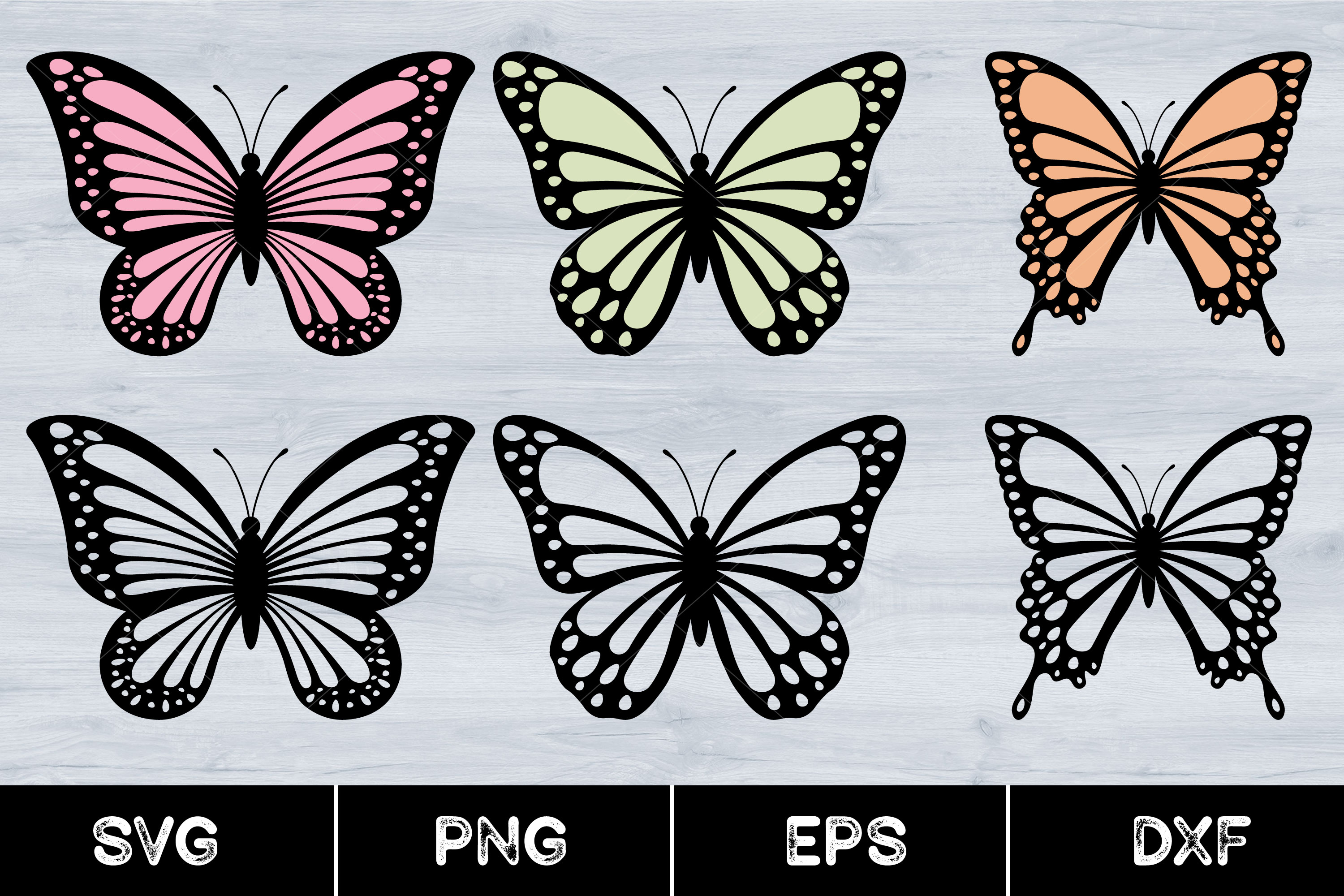 Butterflies, Summer, Blue, Nature Graphic by AnuchaSVG · Creative Fabrica