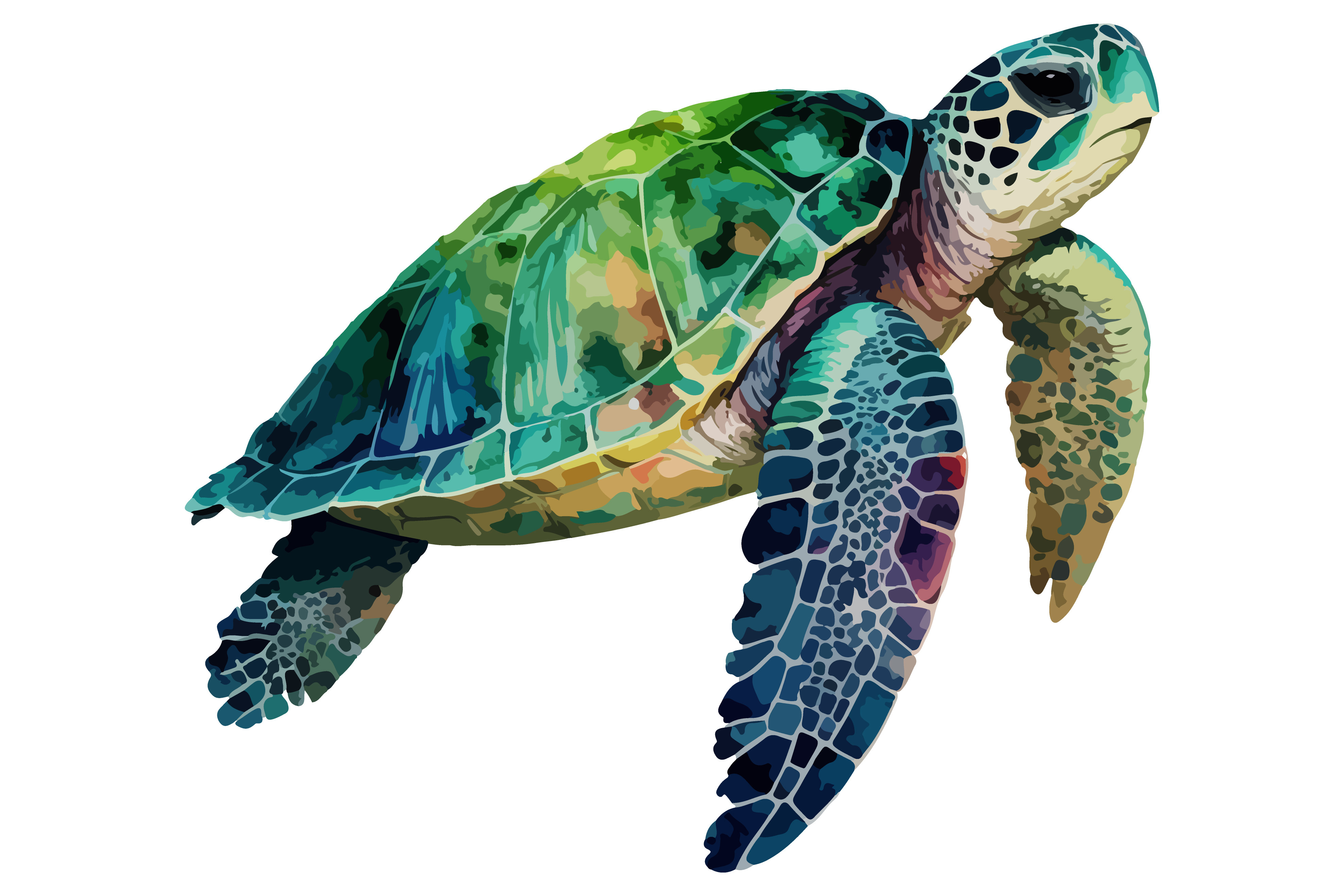 Watercolor Sea Turtle Vector Illustration Par Breakingdots Creative
