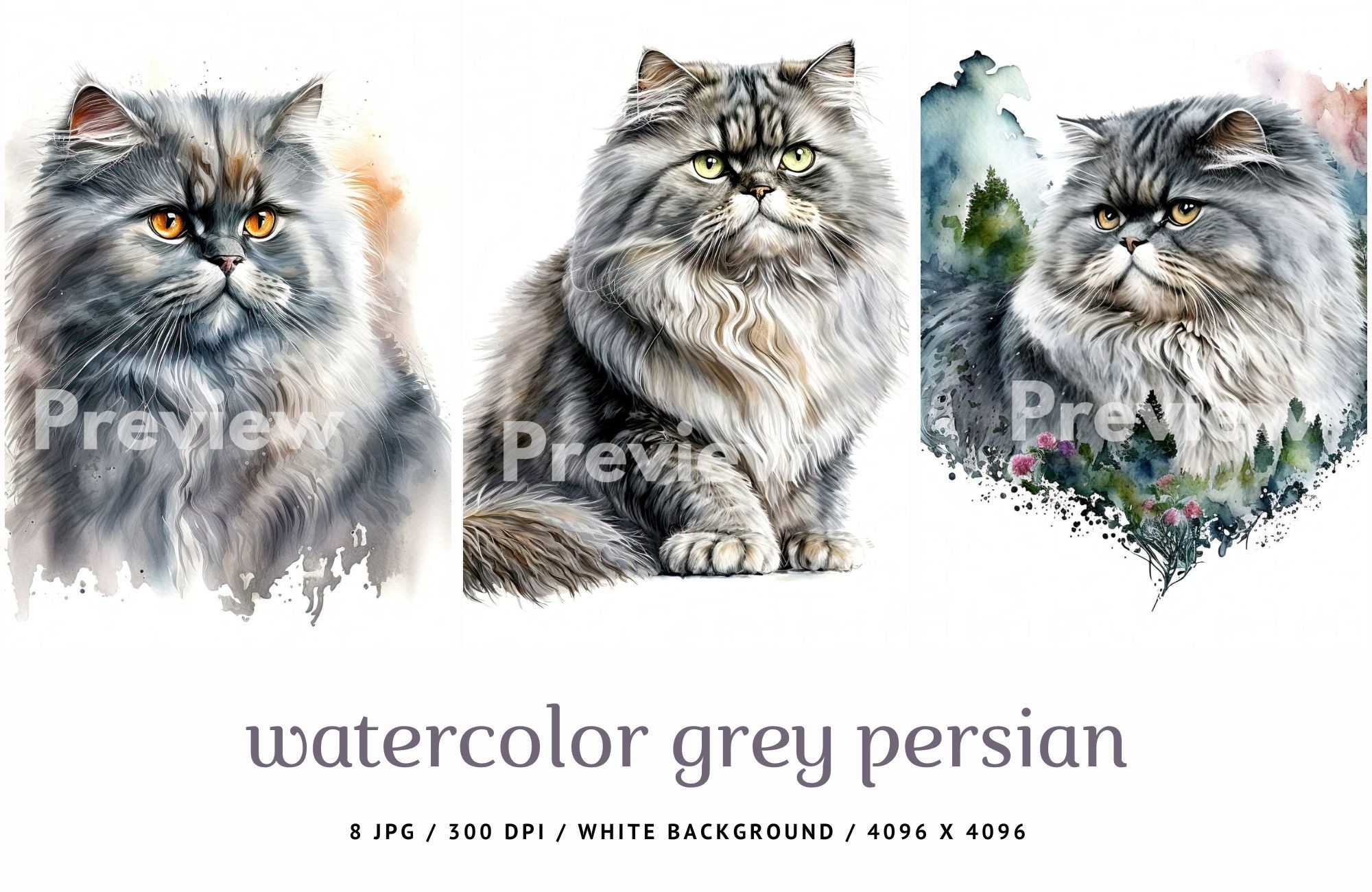 fluffy grey persian cat