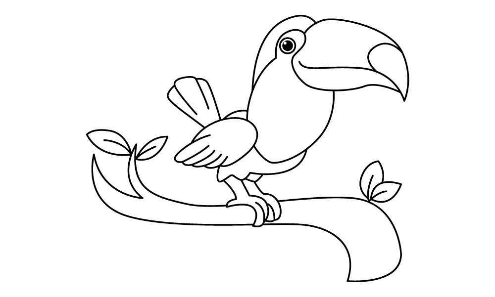 Premium Vector  Tucan and flower coloring page for adults