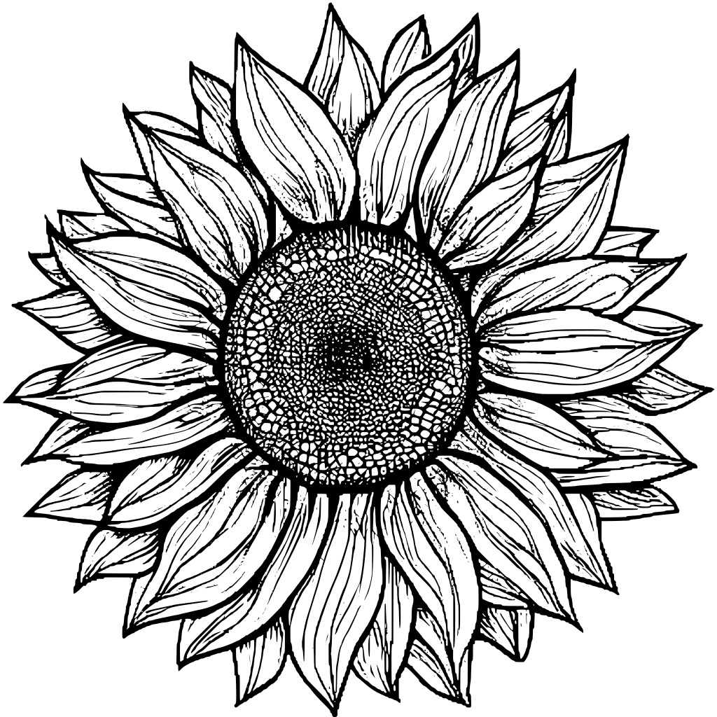 Sunflower Graphic · Creative Fabrica
