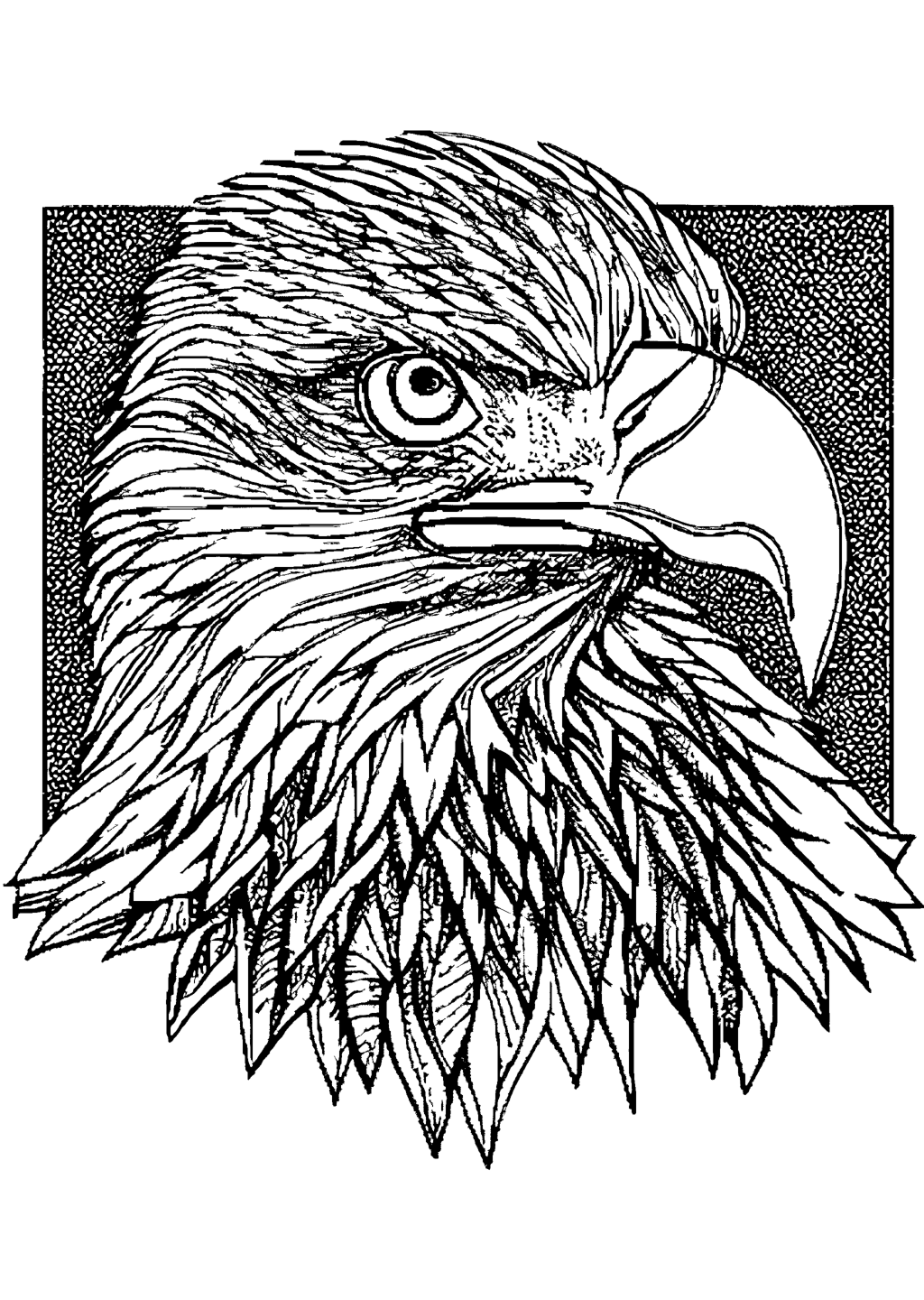 bald eagle head coloring