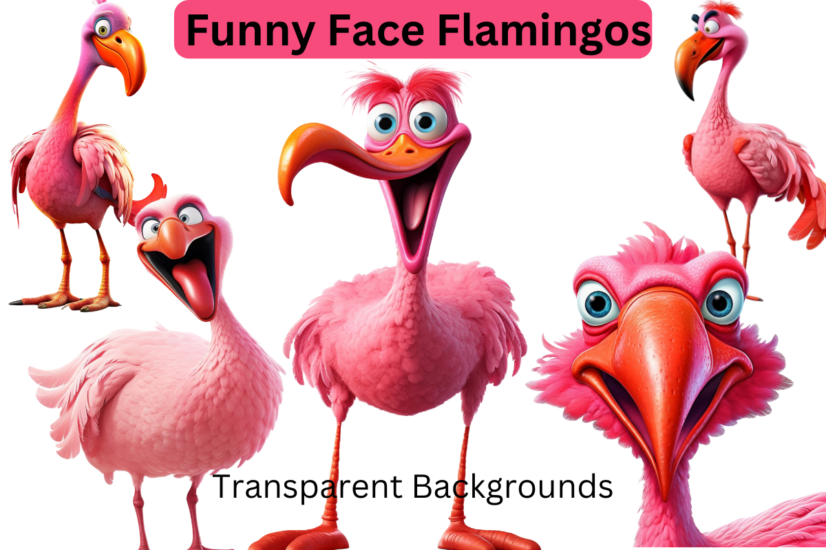 10 PNG Funny Face Flamingos Clipart Illustration par Imagination ...