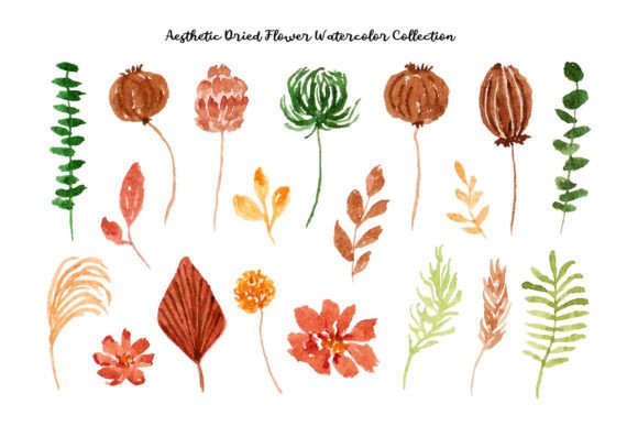 Aesthetic Dried Flowers and Leaf Frame Graphic by fathurmutiah · Creative  Fabrica