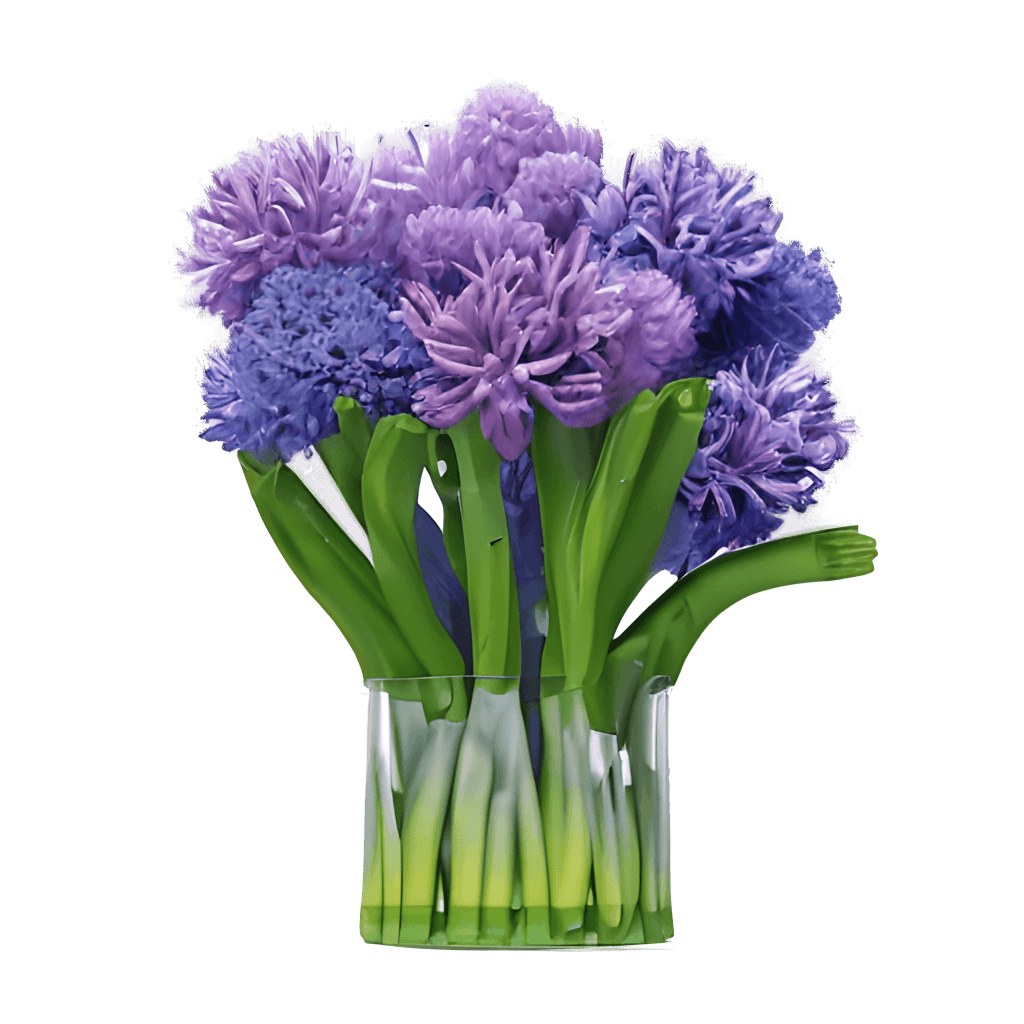 Graphic of Hyperdetailed Realistic Hyacinth Flowers Bouquet · Creative ...