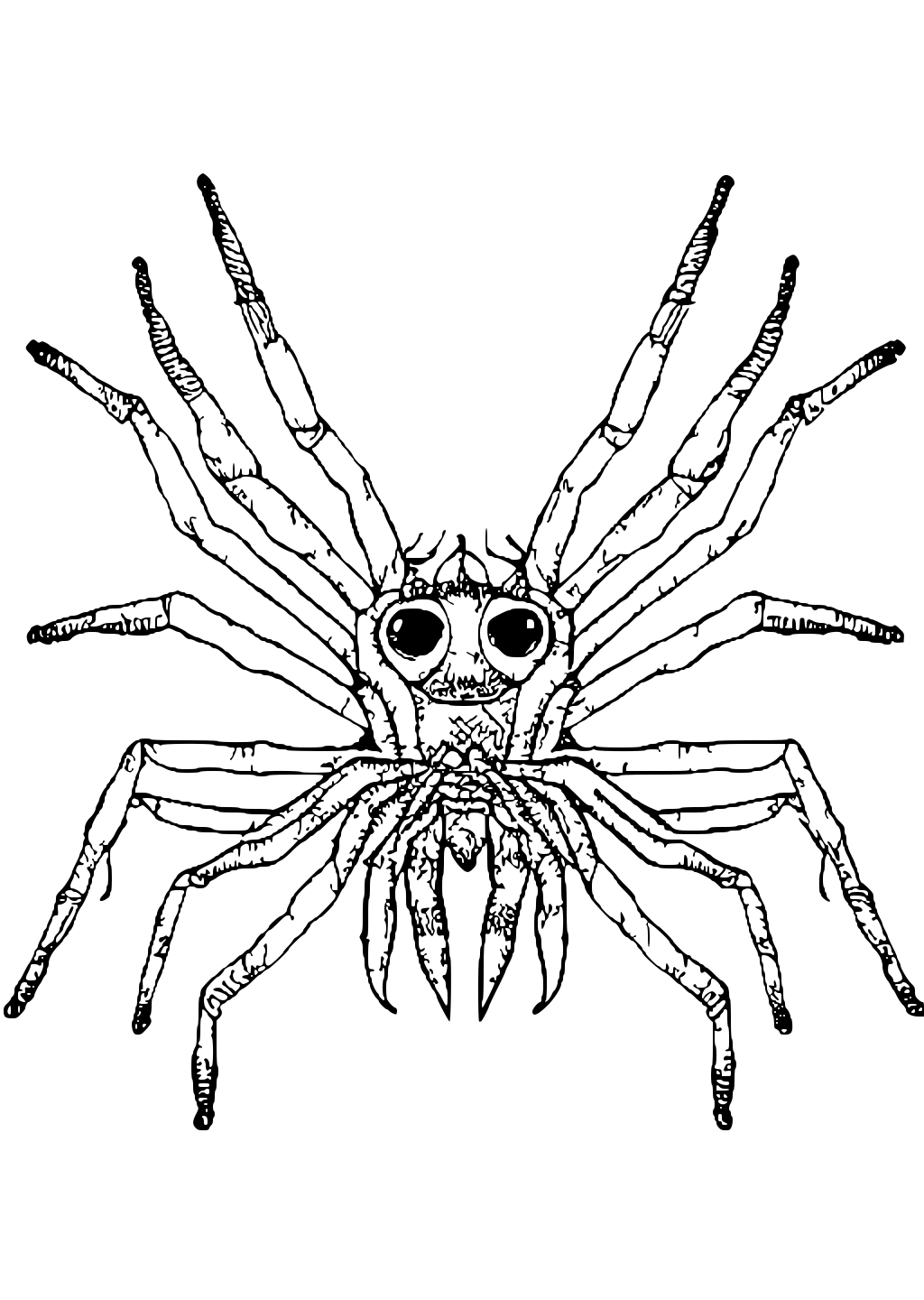 A Giant Spider Face Coloring Page · Creative Fabrica