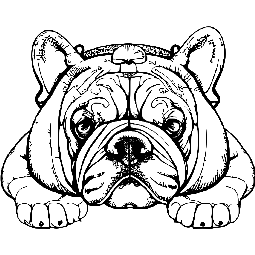 Joyful English Bulldog Playing Coloring Page · Creative Fabrica