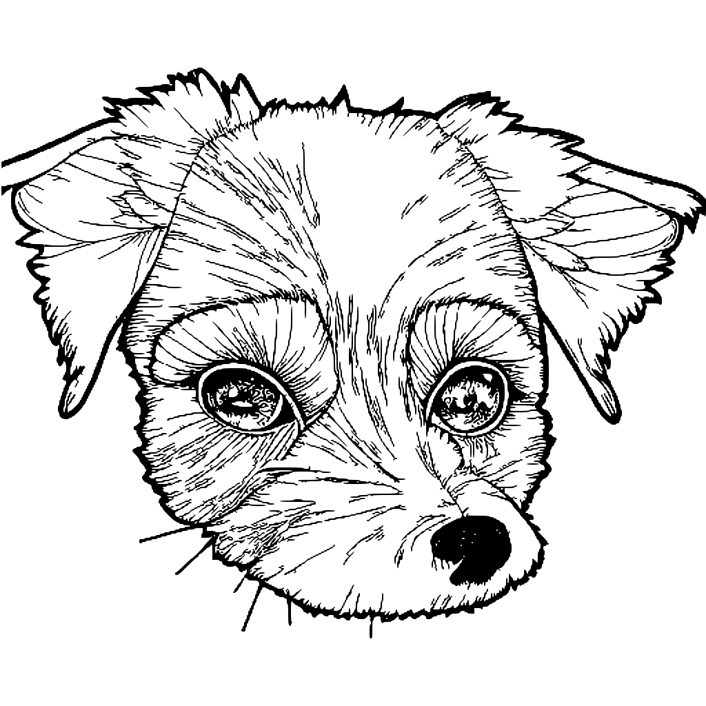 Desenho para colorir de cachorro fofo · Creative Fabrica
