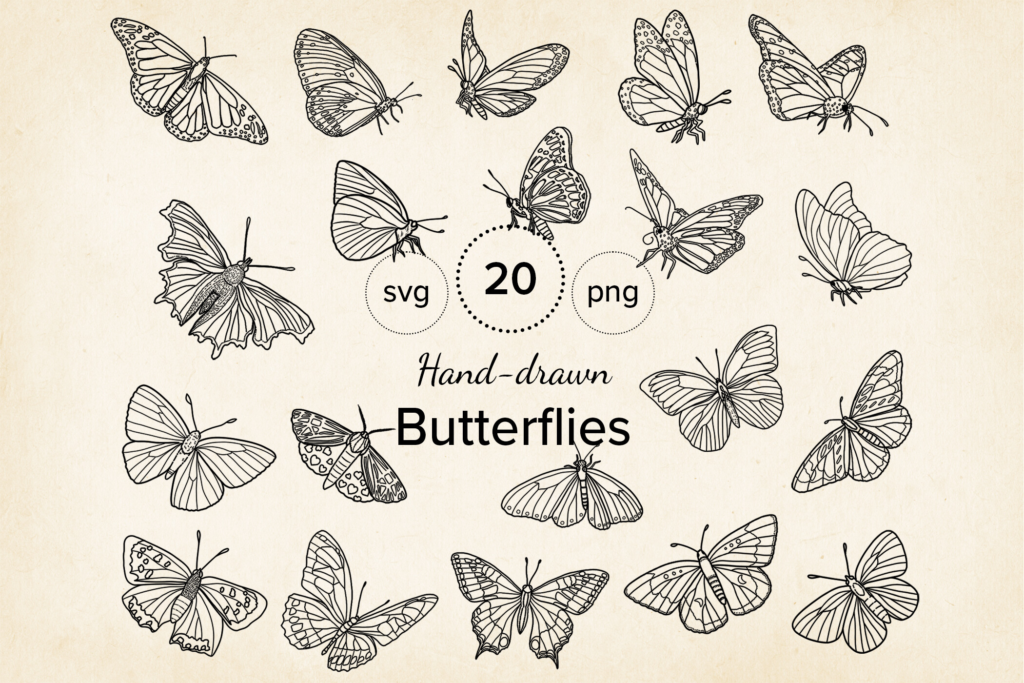 Butterfly SVG & PNG Line Art Bundle Graphic by Paper Art Garden ...