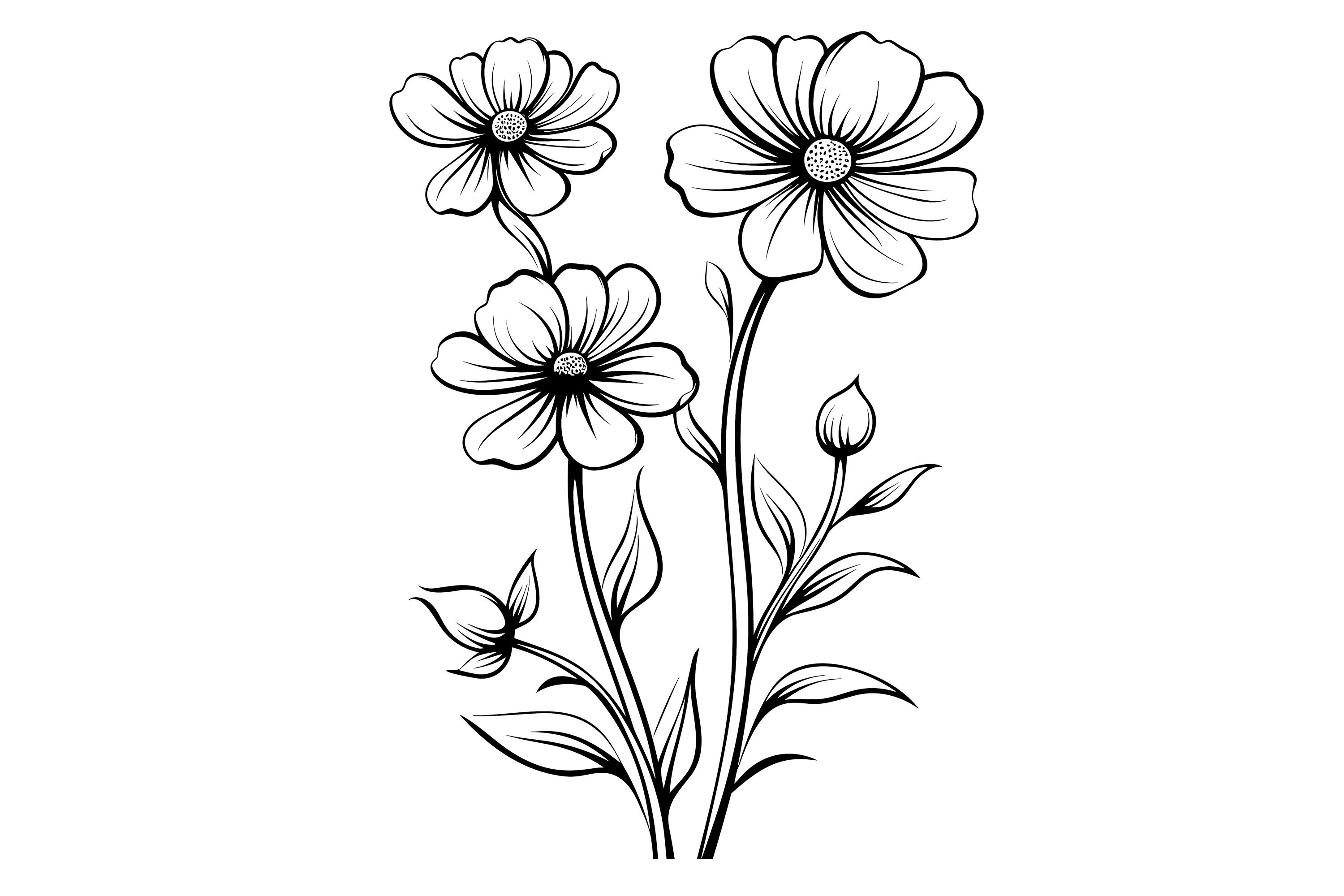 Flowers Clipart Graphic by Illustrately · Creative Fabrica