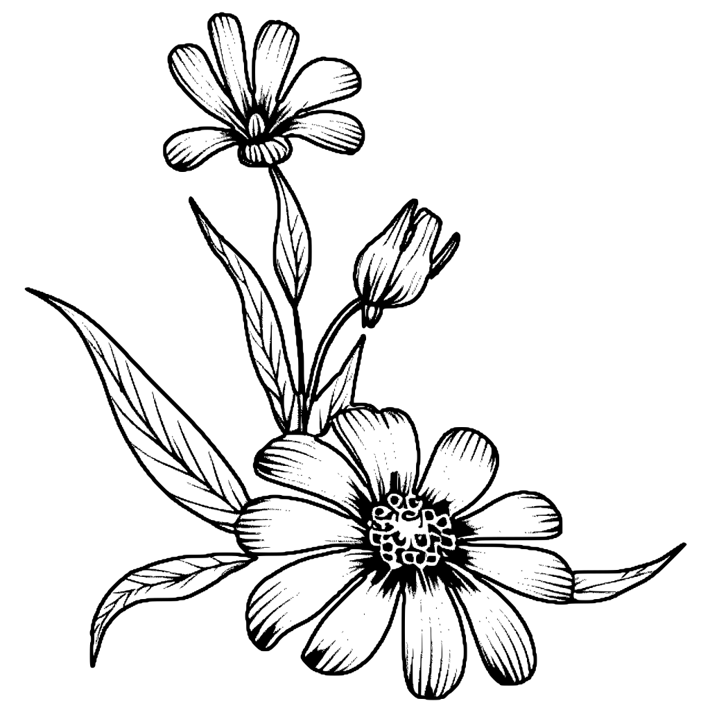 Beautiful Flowers Coloring Page · Creative Fabrica