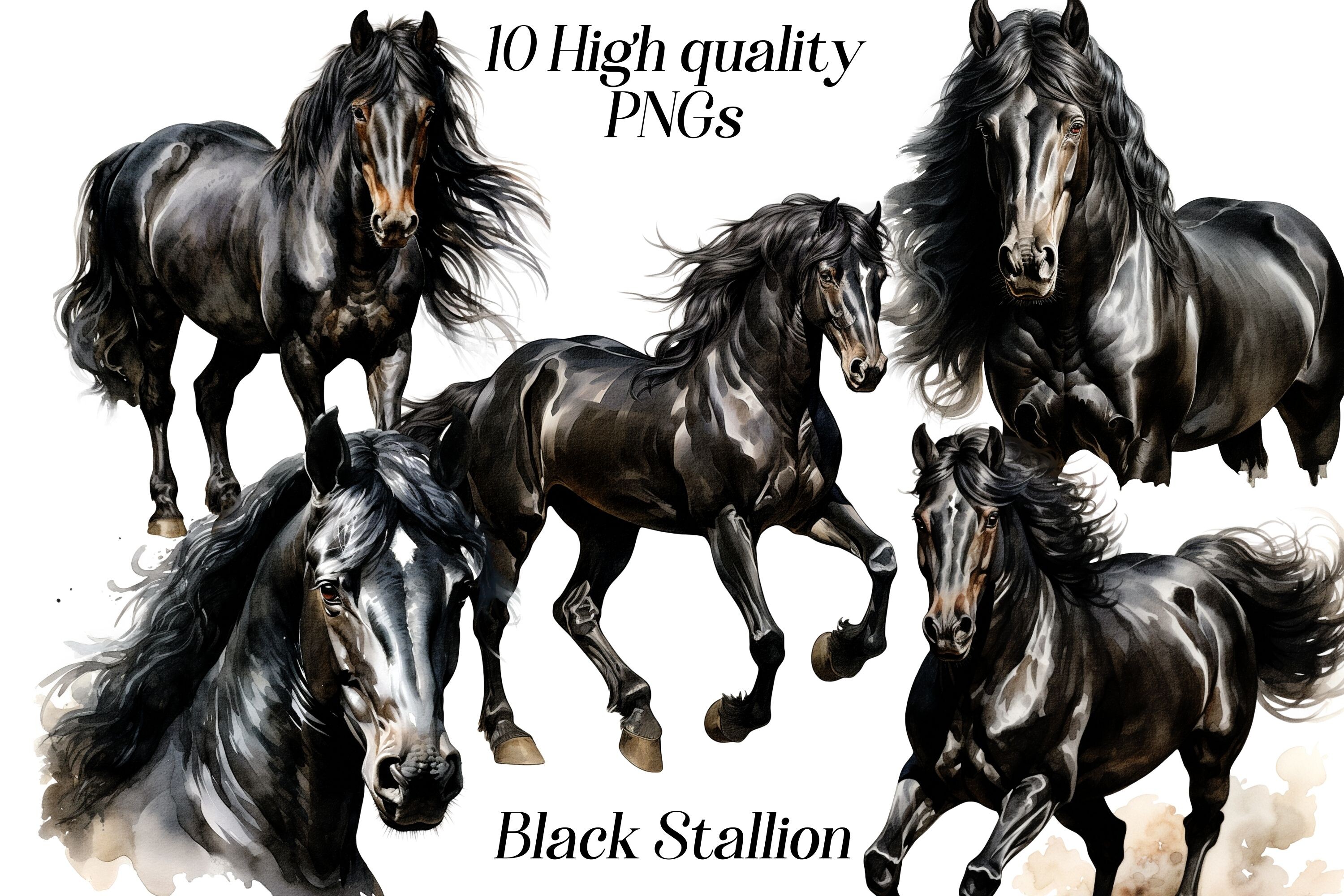 Watercolor Black Stallion Clipart Graphic by Designs By Anna B ...