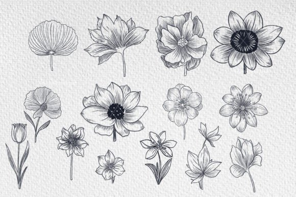 Photoshop - 10 Flower Stamps/ Brushes Graphic by AnnaDigitalStudio ·  Creative Fabrica