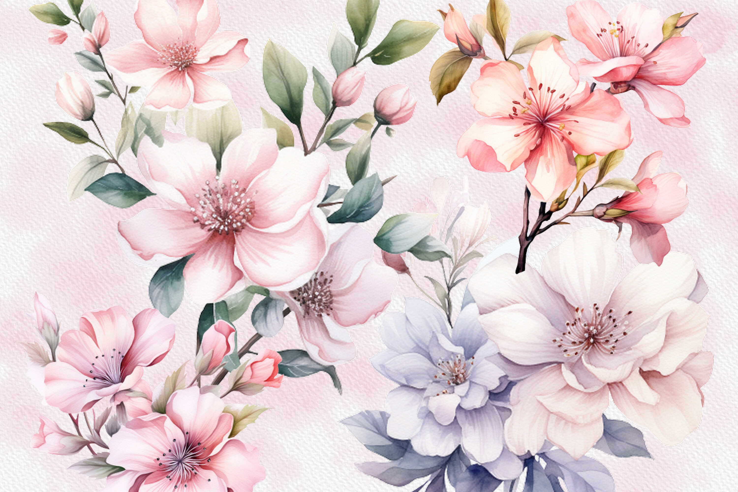Watercolor Flower Clipart with Delicate Graphic by sayedhasansaif04 ...